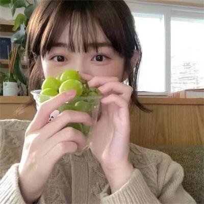 笨金鱼