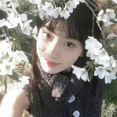 猫片之无喵生还